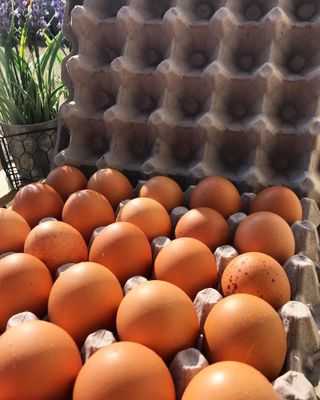 A carton of speckled brown farm eggs in front of a lavender plant